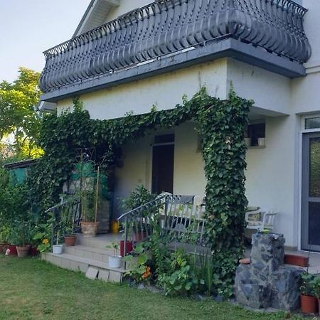 Ilona Apartmanok Балатонбоглар Экстерьер фото